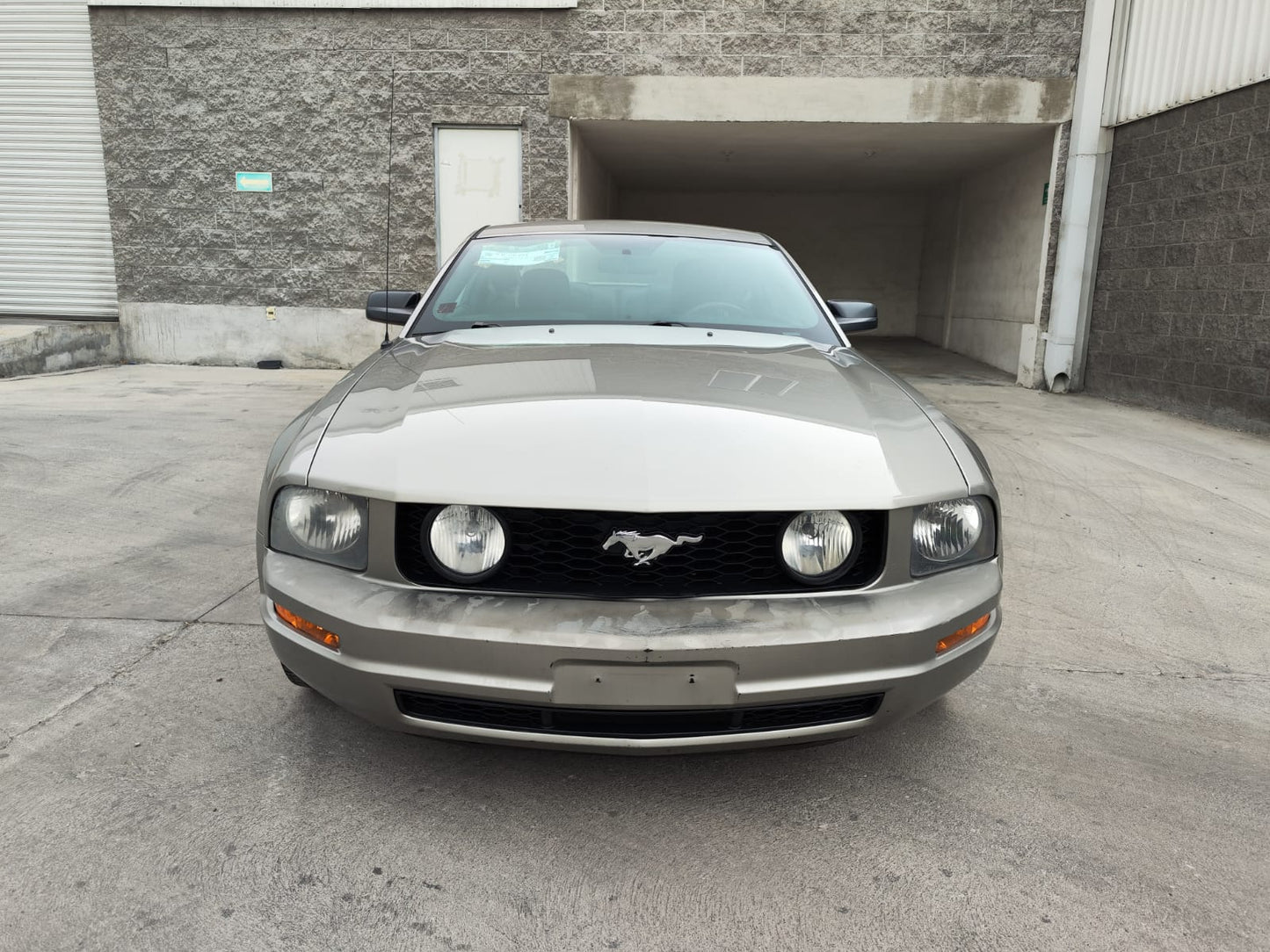 Ford Mustang GT Coupé 2008