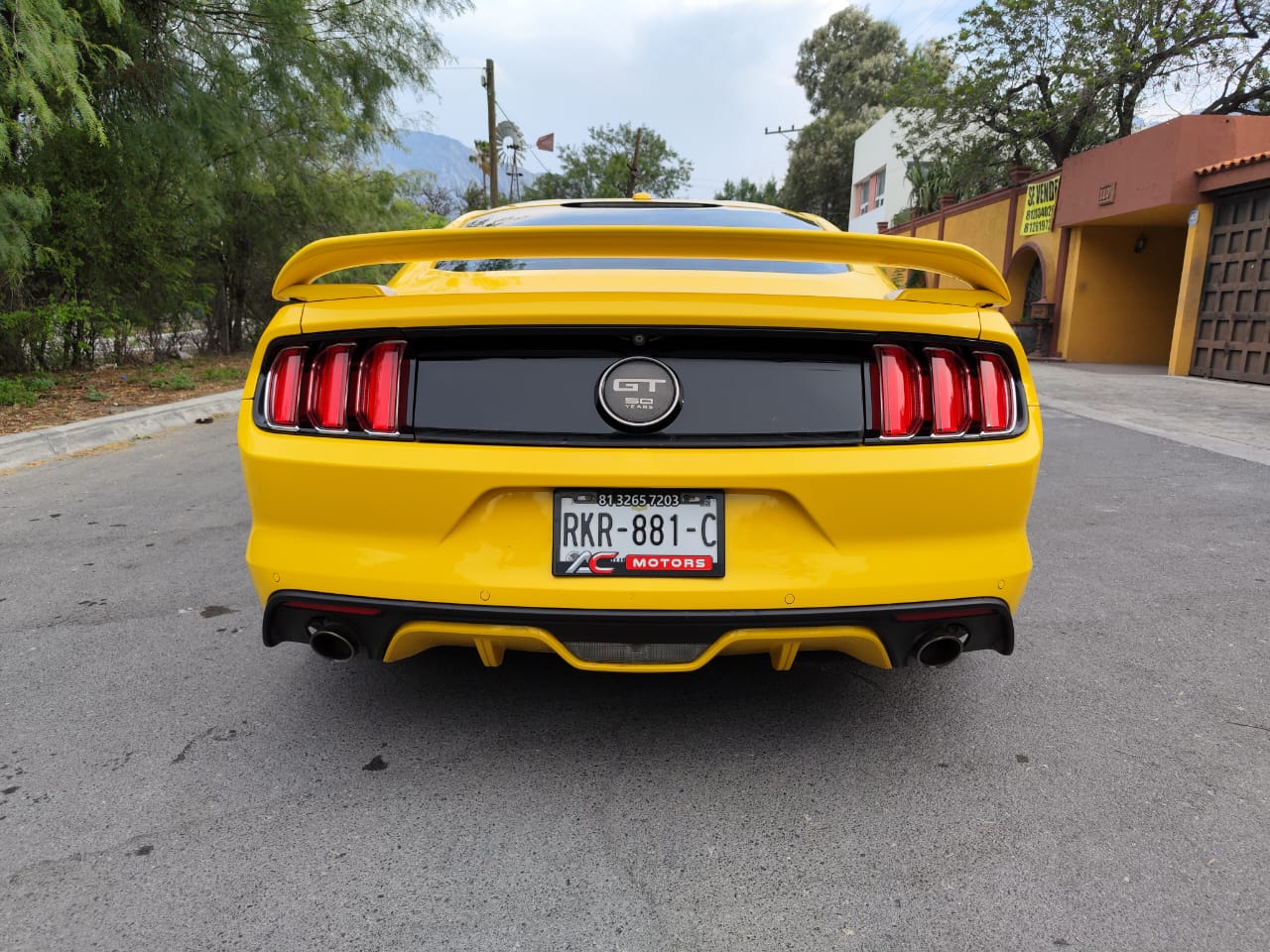 Ford Mustang GT 50 years edition 2015