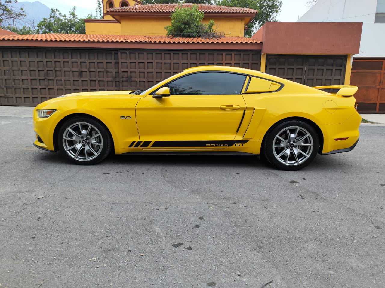 Ford Mustang GT 50 years edition 2015