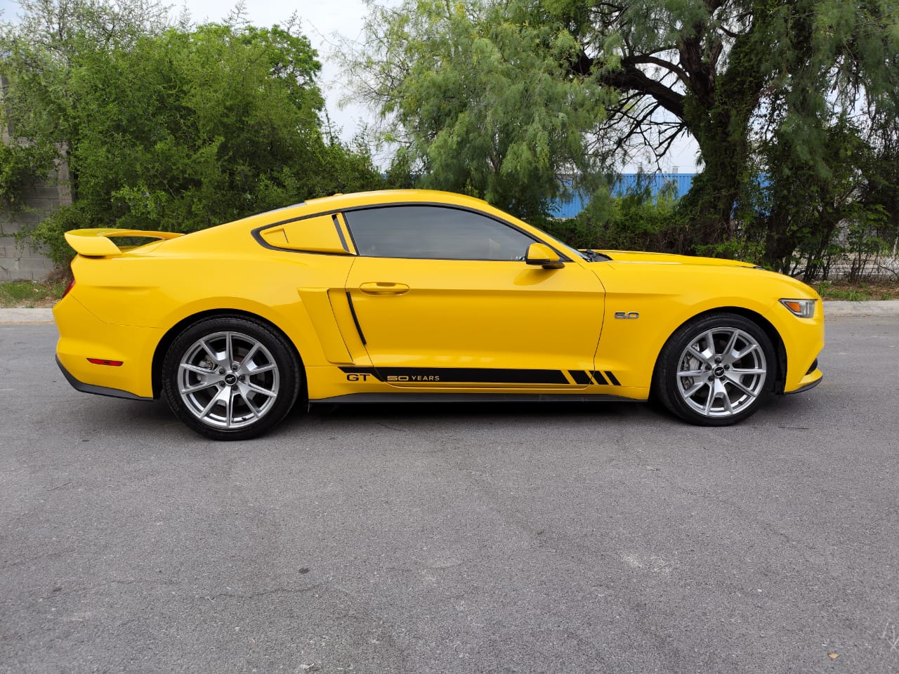 Ford Mustang GT 50 years edition 2015