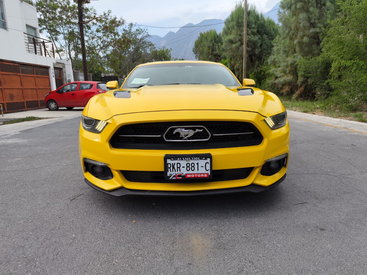 Ford Mustang GT 50 years edition 2015