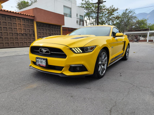 Ford Mustang GT 50 years edition 2015