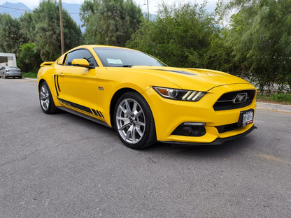 Ford Mustang GT 50 years edition 2015