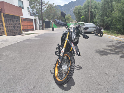 Italika DM 300 2025