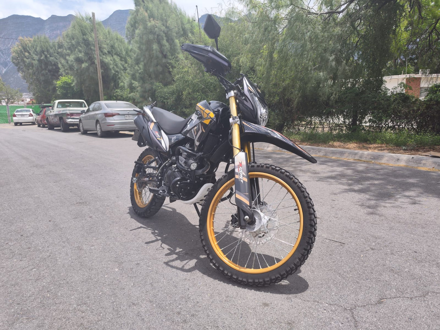 Italika DM 300 2025