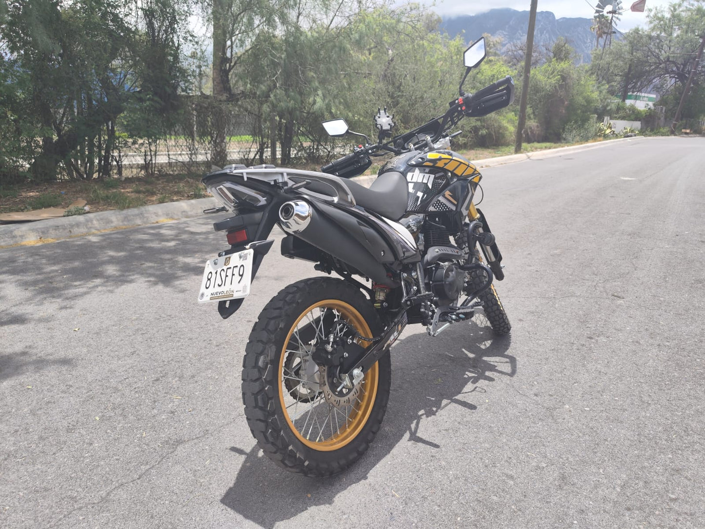 Italika DM 300 2025