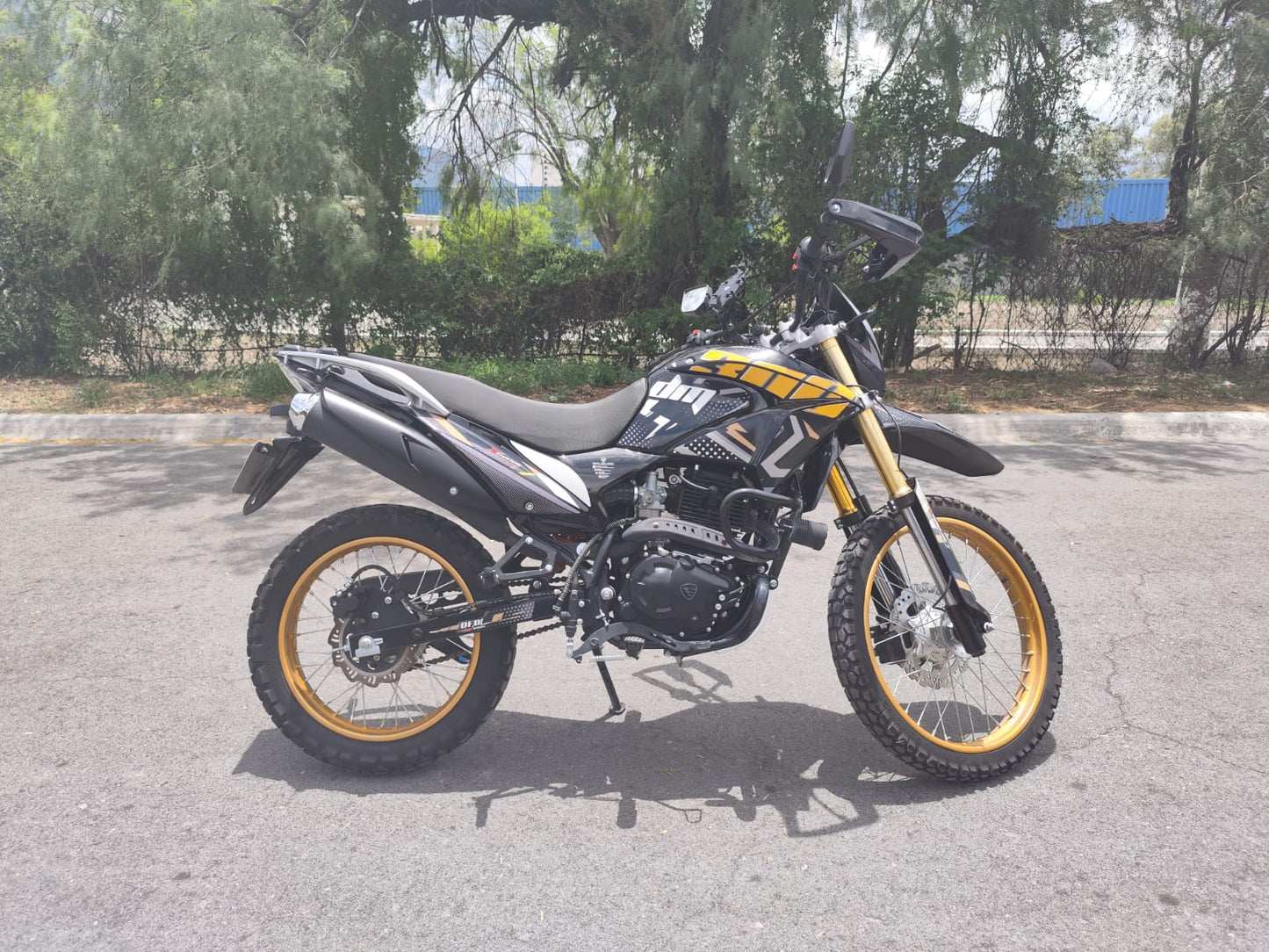 Italika DM 300 2025